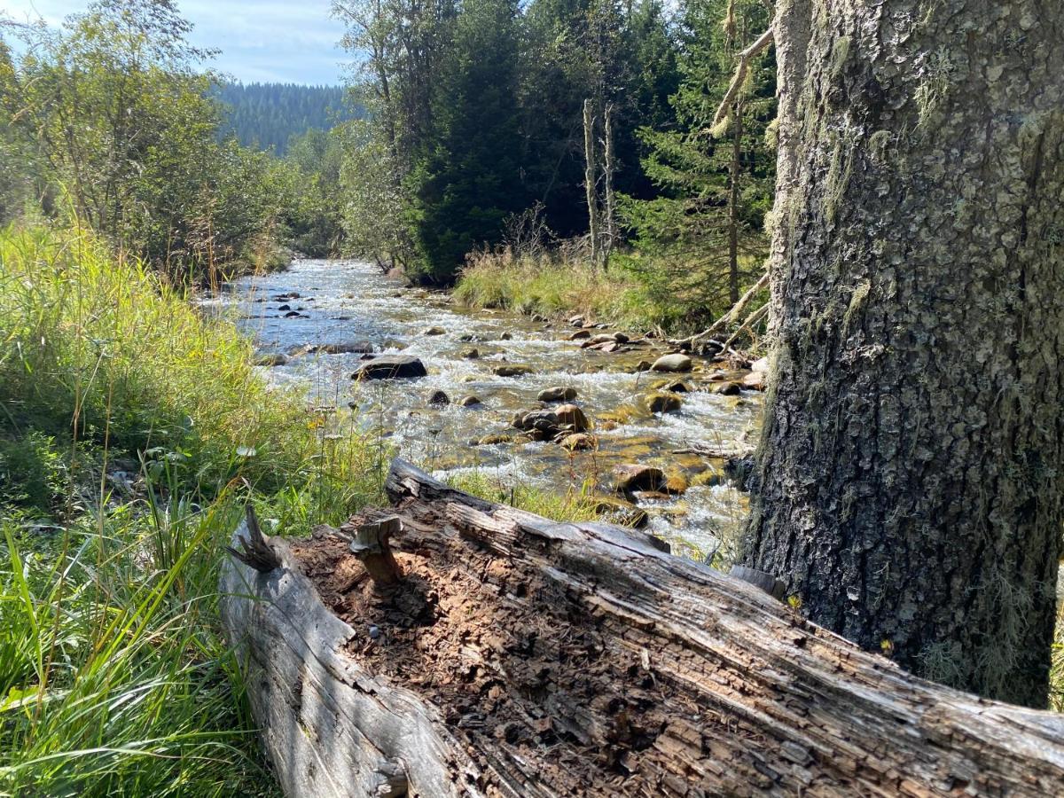 Traumhaus Flattnitz Lägenhet Exteriör bild