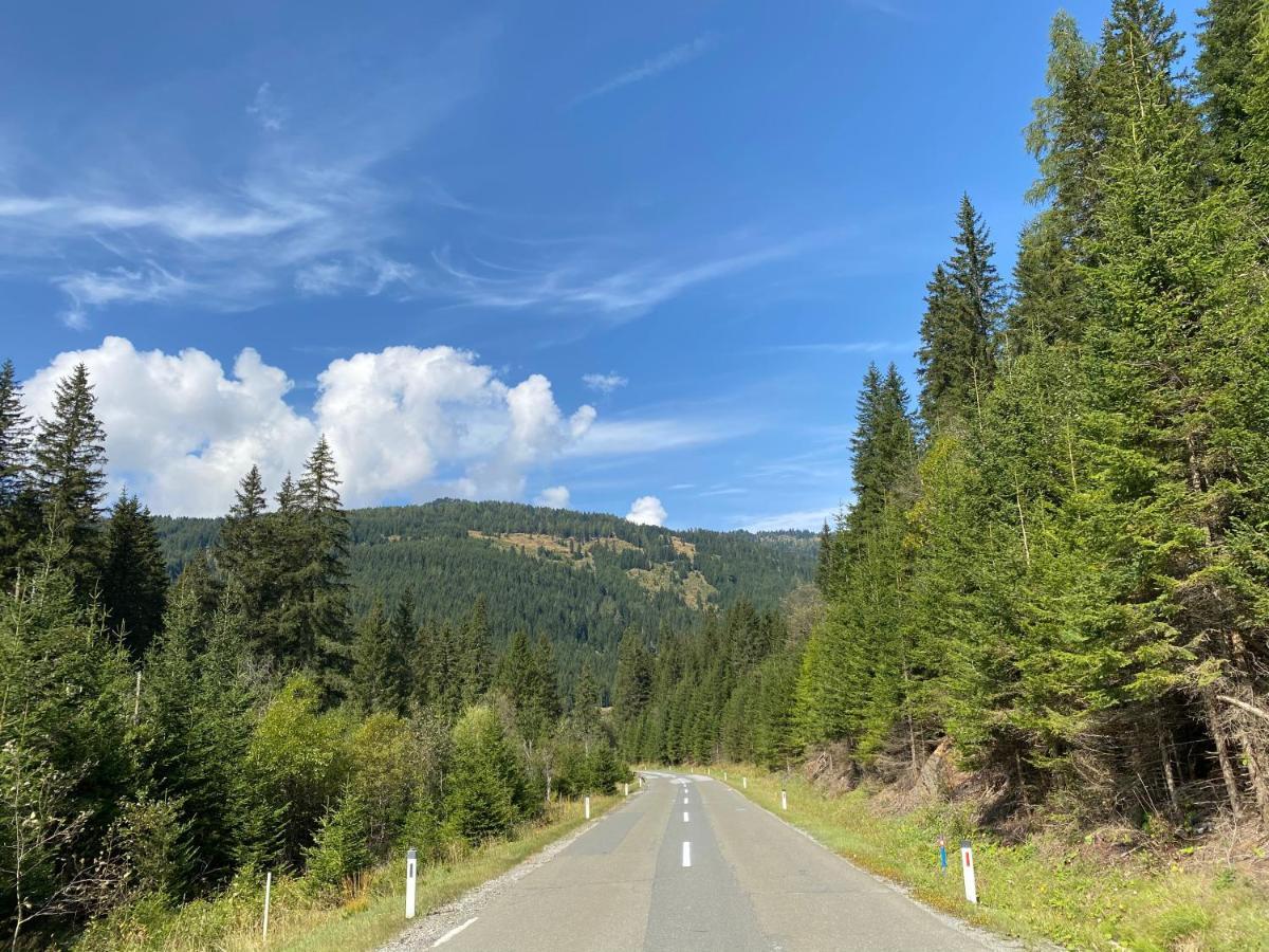 Traumhaus Flattnitz Lägenhet Exteriör bild